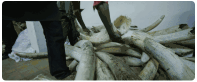 中国疫情刚好转，另一场危及70亿人生命的灾难还在发生…