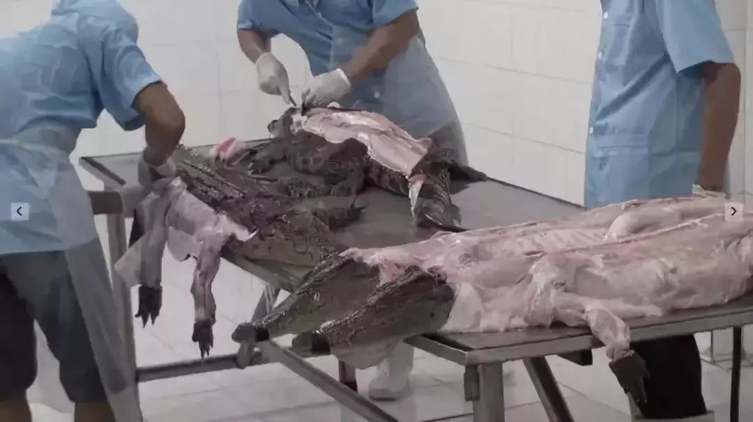 中国疫情刚好转，另一场危及70亿人生命的灾难还在发生…