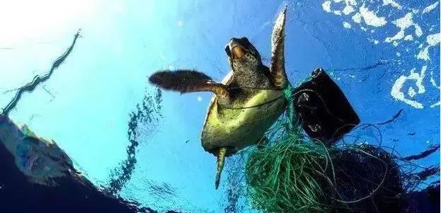 中国疫情刚好转，另一场危及70亿人生命的灾难还在发生…