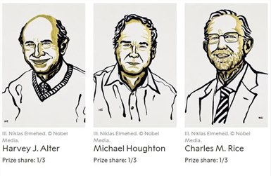 重磅！诺贝尔生理学或医学奖揭 这些概念股或受关注