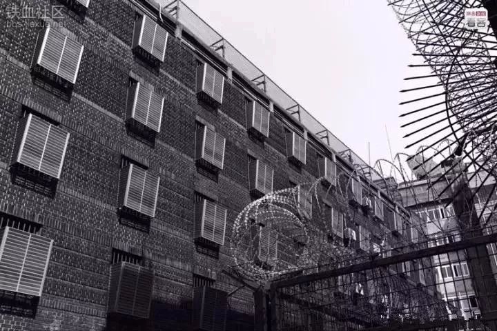 她是中囯绝色美人，入狱6年，出狱后写下了轰动世界的一本书