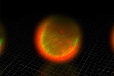 《自然-化学》：人类精子和卵细胞结合瞬间，会爆发一阵巨大闪光