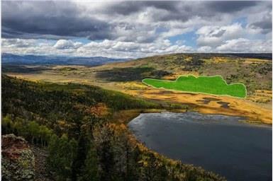 体重6000吨，活了上万年，世界上最大的生物正在被慢慢吃掉