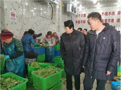 上海一奇人靠种菜、养鱼年入3600万，养鱼不用换水，种菜不用施肥