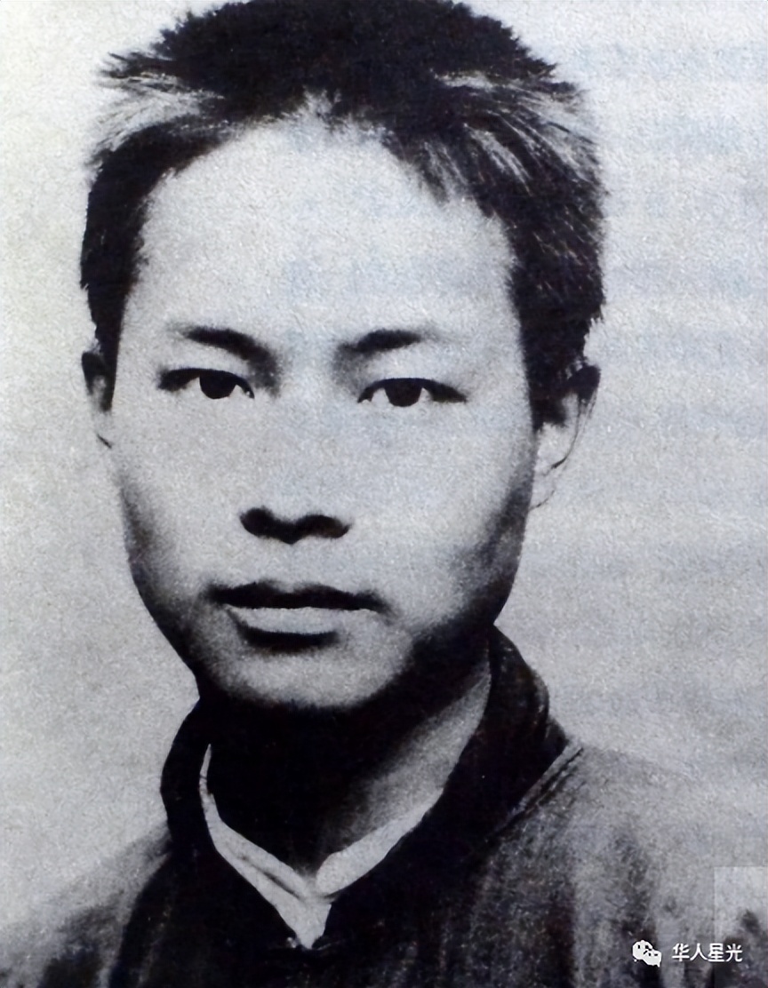 两次提名诺贝尔，为一女人成了“疯子”，这个中国大才子太悲情