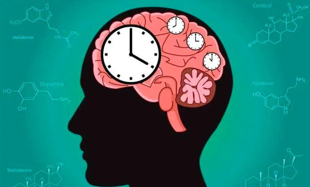 为证明时间不存在，科学家让一女性在洞穴住了130天，结果如何