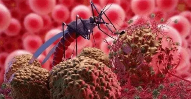 1993年，清华女研究生嫁给非洲人，在非洲生活26年，生了5个孩子