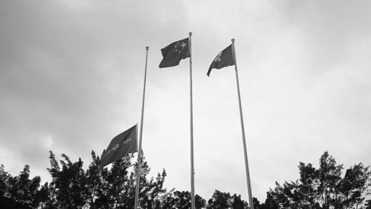 写给复旦大学校办的杨福家院士唁电