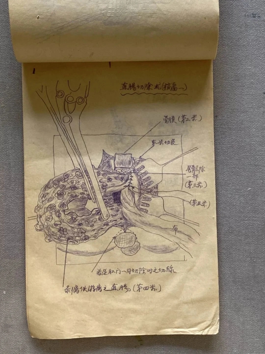 共和国感谢他！108岁开国少将，至今还为一事遗憾……