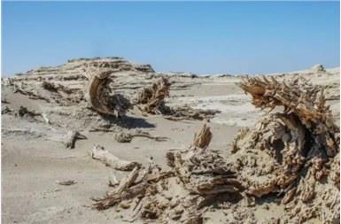 干涸60多年的罗布泊奇迹复活，碧波荡漾的背后，到底是不是好事？