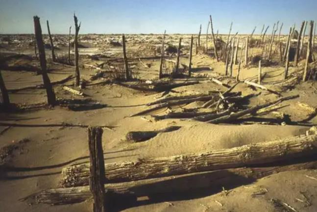 干涸60多年的罗布泊奇迹复活，碧波荡漾的背后，到底是不是好事？