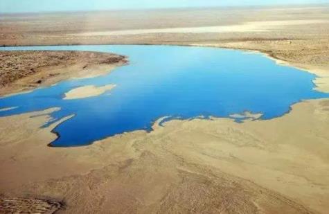 科学家猜想：人类祖先其实是鱼，从鱼到“我们”，过程大概是这样