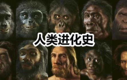 10万年前，地球至少还有6种人类，为何最后只剩下我们？