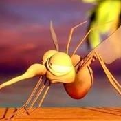 不顾反对！美国将向大自然投放24亿只转基因蚊子，意欲何为？