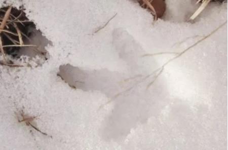 苏轼最难超越的一首诗，开篇两句就写透了人生，送给身处逆境的人