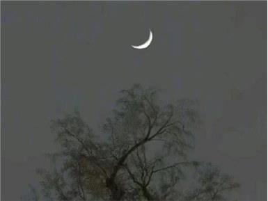 苏轼失眠写首千古名作，多年后辛弃疾写首同名词，千年来难分高下