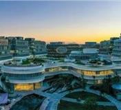 疯狂建大学的广东，开始“收割”了