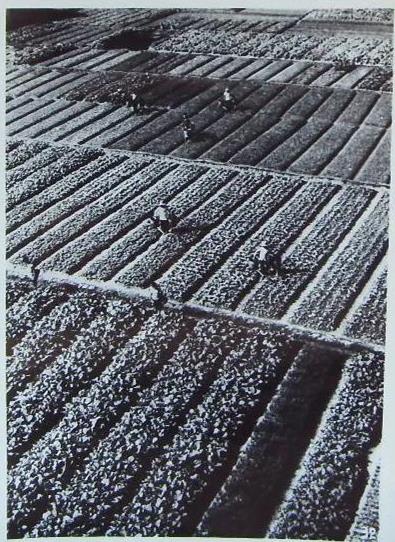 1年1张照片，还原潮汕百年历史