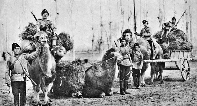 1950年我军在甘肃俘获女白匪头目，没想到她吐露出自己的红军身份