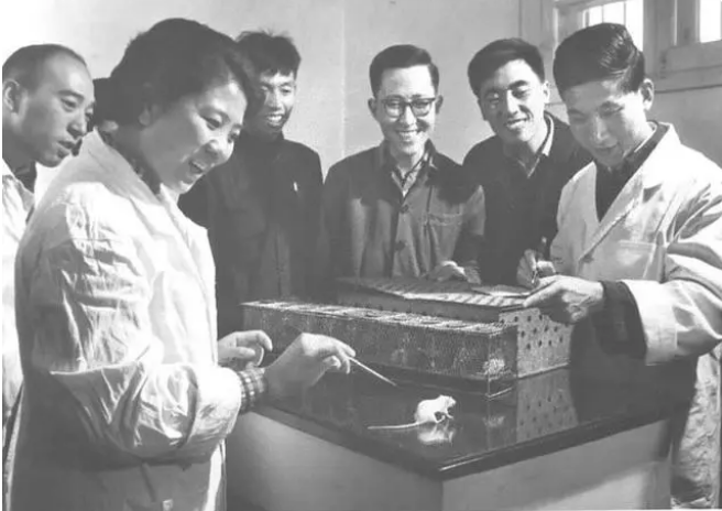 中国未来最大的挑战，是对待真理和自然的态度