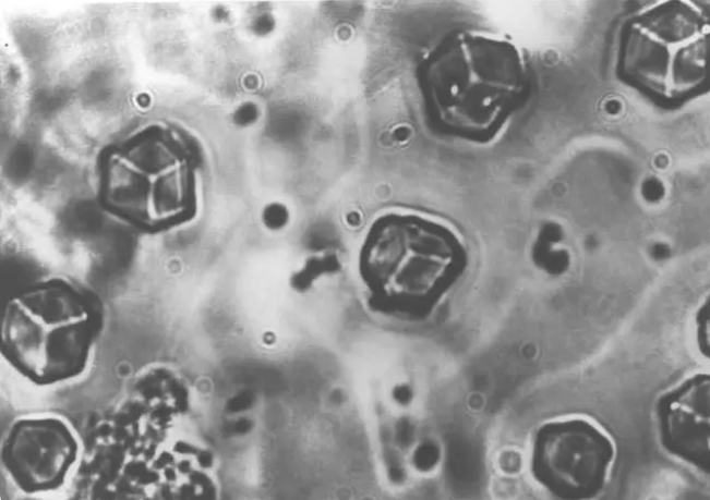 中国未来最大的挑战，是对待真理和自然的态度