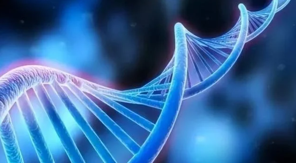 人真的是猿猴变的吗？种种证据显示达尔文进化论可能错了