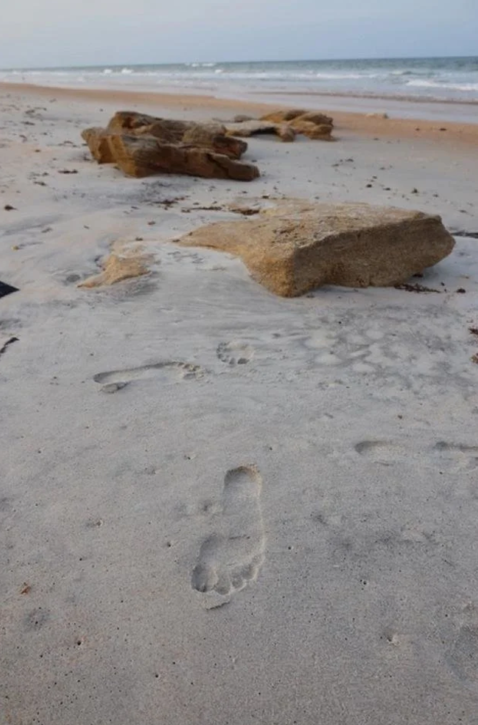 地球上到处都是人类DNA，科学家们对此很担心