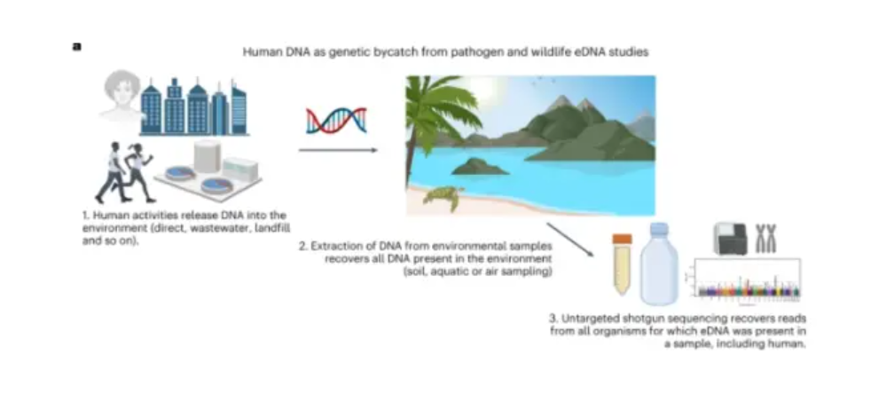 地球上到处都是人类DNA，科学家们对此很担心