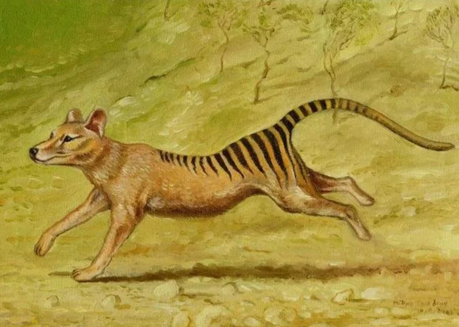 玛雅预言成真？灭绝多年的物种“死而复生”，这是什么原因？