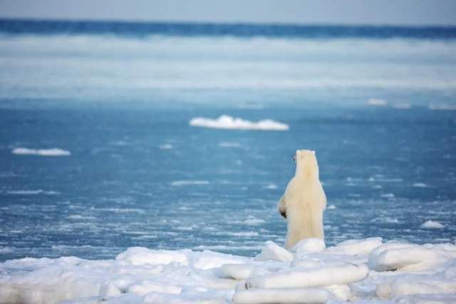 全球变暖究竟是不是骗局？人类怕冷不怕热，为何我们还要节能减排