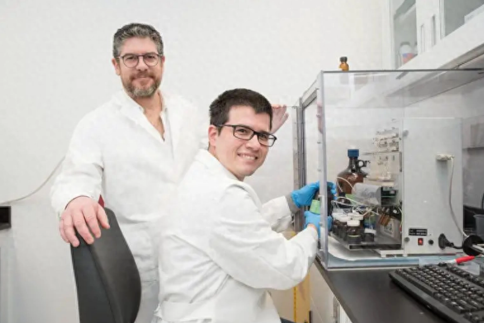 科学家成功再现并用数学方法验证生命起源的两种分子语言