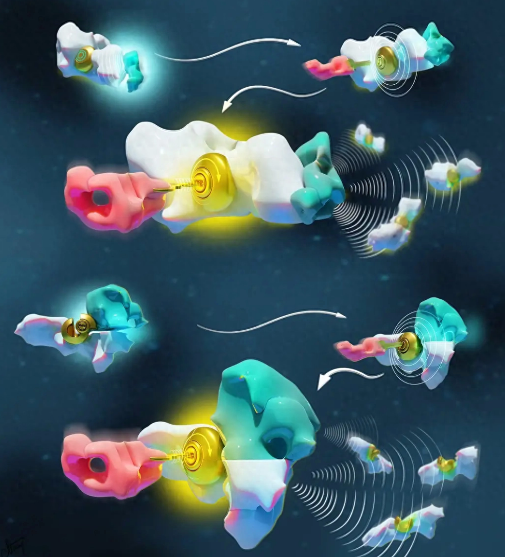 科学家成功再现并用数学方法验证生命起源的两种分子语言