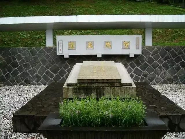 北大清华校长胡适梅贻琦为什么没有留在大陆而去了台湾