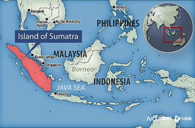 人类五次险遭灭绝，最少时仅剩600人，在南非海边繁衍壮大