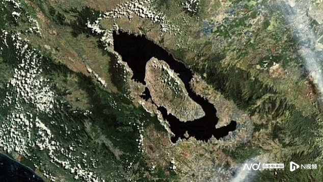 人类五次险遭灭绝，最少时仅剩600人，在南非海边繁衍壮大