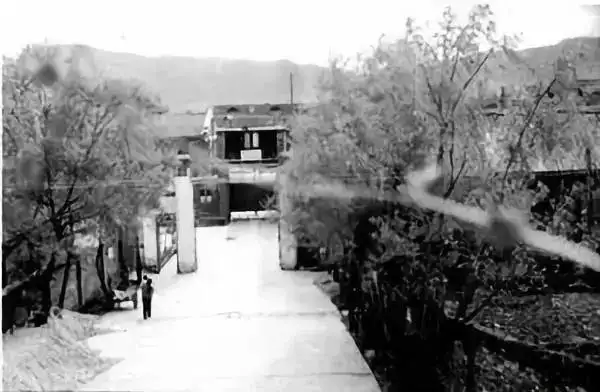 流亡3万里，活着熬到平反