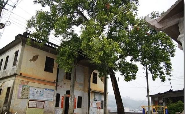 [社会资讯] [大埔名人录]NO.35 抗日名将、52军军长 赵公武 中将