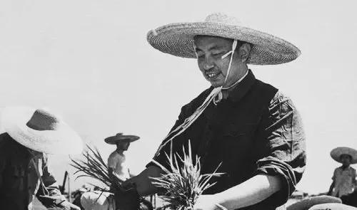 华国锋去留大会上，叶帅落泪求情，陈云一口回绝：劝华要有自知之明